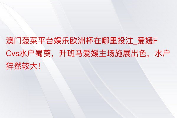 澳门菠菜平台娱乐欧洲杯在哪里投注_爱媛FCvs水户蜀葵，升班马爱媛主场施展出色，水户猝然较大！