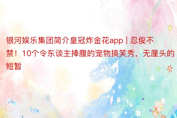 银河娱乐集团简介皇冠炸金花app | 忍俊不禁！10个令东谈主捧腹的宠物搞笑秀，无厘头的短暂